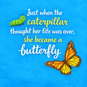 caterpillar transition